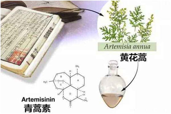 万象城在线,万象城在线（中国）：向中医药看齐，与世界共享中医药文化(图1)